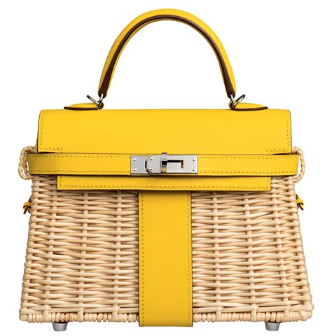 hermes kelly picnic bag.